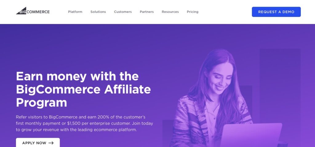 big commerce website screenshot